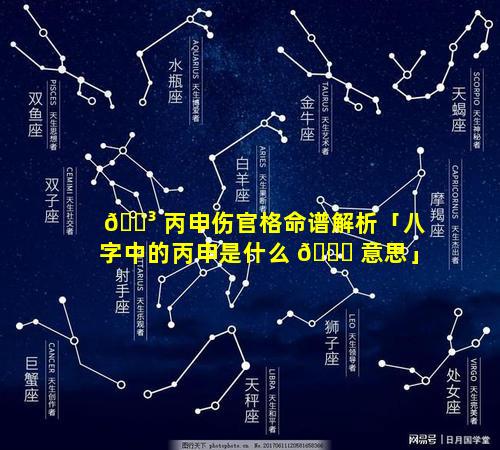 🌳 丙申伤官格命谱解析「八字中的丙申是什么 🐎 意思」